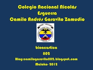 Colegio Nacional Nicolás
          Esguerra
Camilo Andrés Garavito Zamudio




             bioacustica
                 802
  Blog:camilogaravito802.blogspot.com
             Maloka- 2012
 
