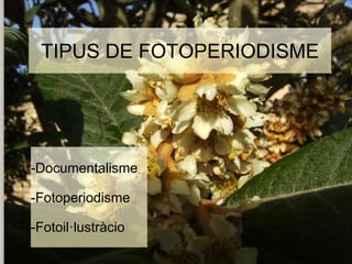TIPUS DE FOTOPERIODISME 
-Documentalisme 
-Fotoperiodisme 
-Fotoil·lustràcio 
 