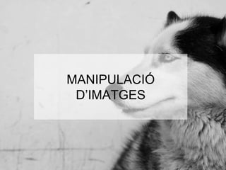 MANIPULACIÓ 
D’IMATGES 
 