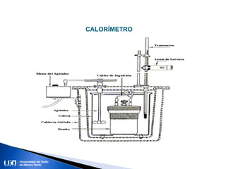 CALORÍMETRO
 