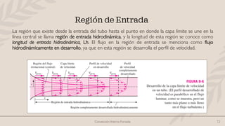 Convección Interna Forzada 12
Región de Entrada
La región que existe desde la entrada del tubo hasta el punto en donde la capa límite se une en la
línea central se llama región de entrada hidrodinámica, y la longitud de esta región se conoce como
longitud de entrada hidrodinámica, Lh. El flujo en la región de entrada se menciona como flujo
hidrodinámicamente en desarrollo, ya que en esta región se desarrolla el perfil de velocidad.
 