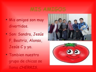 MIS AMIGOS Mis amigos son muy divertidos. Son: Sandra, Jesús F, Beatriz, Alonso, Jesús C y yo. Tambien nuestro grupo de chicas se llama  CHERRIS. 