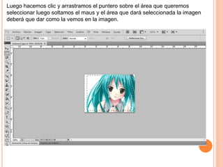 Luego hacemos clic y arrastramos el puntero sobre el área que queremos
seleccionar luego soltamos el maus y el área que dará seleccionada la imagen
deberá que dar como la vemos en la imagen.
 