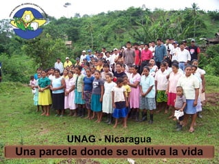 UNAG - Nicaragua
Una parcela donde se cultiva la vida
 