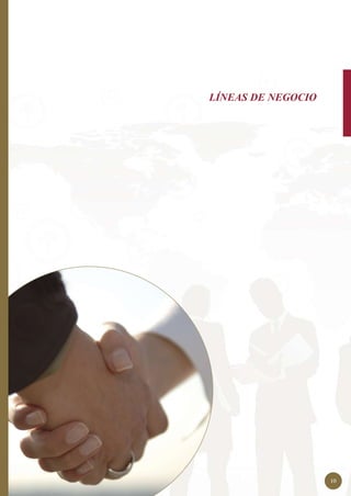 LÍNEAS DE NEGOCIO




                    10
 