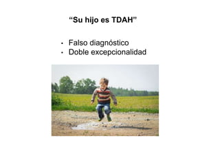 “Su hijo es TDAH”
• Falso diagnóstico
• Doble excepcionalidad
 