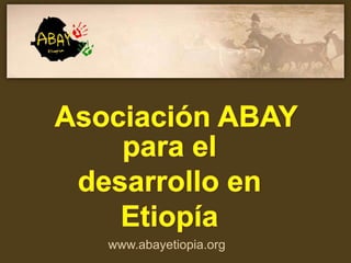 www.abayetiopia.org
 