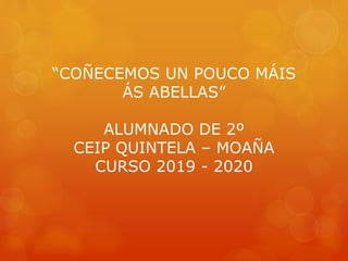 “COÑECEMOS UN POUCO MÁIS
ÁS ABELLAS”
ALUMNADO DE 2º
CEIP QUINTELA – MOAÑA
CURSO 2019 - 2020