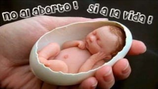 Presentación aborto