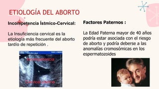 ETIOLOGÍA DEL ABORTO
Incompetencia Ístmico-Cervical:
La Insuficiencia cervical es la
etiología más frecuente del aborto
tardío de repetición .
Factores Paternos :
La Edad Paterna mayor de 40 años
podría estar asociada con el riesgo
de aborto y podría deberse a las
anomalías cromosómicas en los
espermatozoides
 
