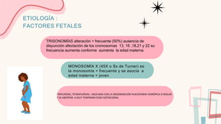 ETIOLOGÍA :
FACTORES FETALES
TRISONOMÍAS alteración + frecuente (50%) ausencia de
disyunción afectación de los cromosomas 13, 16 ,18,21 y 22 su
frecuencia aumenta conforme aumenta la edad materna
MONOSOMÍA X (45X o Sx de Turner) es
la monosomía + frecuente y se asocia a
edad materna + joven
TRIPLOÍDÍAS, TETRAPLOÍDIAS : ASOCIADA CON LA DEGENERACIÓN PLACENTARIA HIDRÓPICA O MOLAR
Y SE ABORTAN A MUY TEMPRANA EDAD GESTACIONAL
 
