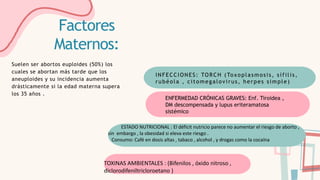 ESTADO NUTRICIONAL : El déficit nutricio parece no aumentar el riesgo de aborto ,
sin embargo , la obesidad si eleva este riesgo .
Consumo: Café en dosis altas , tabaco , alcohol , y drogas como la cocaína
TOXINAS AMBIENTALES : (Bifenilos , óxido nitroso ,
diclorodifeniltricloroetano )
Factores
Maternos:
Suelen ser abortos euploides (50%) los
cuales se abortan más tarde que los
aneuploides y su incidencia aumenta
drásticamente si la edad materna supera
los 35 años .
INFECCIONES: TORCH (Toxoplasmosis, sífilis,
rubéola , citomegalovirus, herpes simple)
ENFERMEDAD CRÓNICAS GRAVES: Enf. Tiroidea ,
DM descompensada y lupus eriteramatosa
sistémico
 