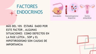 MÁS DEL 10% ESTARÁ DADO POR
ESTE FACTOR , ALGUNAS
SITUACIONES COMO DEFECTOS EN
LA FASE LÚTEA , SOP y EL
HIPOTIROIDISMO SON CAUSAS DE
IMPORTANCIA
FACTORES
ENDOCRINOS
 