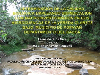 Leonardo Güiza Mera
                            Director:
                 Mg. Hilldier Zamora Gonzáles



                  UNIVERSIDAD DEL CAUCA
FACULTAD DE CIENCIAS NATURALES, EXACTAS Y DE LA EDUCACION
                DEPARTAMENTO DE BIOLOGIA
                      POPAYAN-CAUCA
 