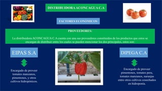DISTRIBUIDORAACONCAGUA C.A
FACTORES ECONÓMICOS
PROVEEDORES:
La distribuidora ACONCAGUA C.A cuenta con una sus proveedores constituidos de los productos que estos se
encargan de distribuir entre los cuales se pueden mencionar los dos principales, estos son:
EIPAS S.A DIPEGA C.A
Encargado de proveer
tomates manzanos,
pimentones, y otros
cultivos hidropónicos.
Encargado de proveer
pimentones, tomates pera,
tomates manzanos, naranjas
entre otros cultivos cosechados
en hidroponía.
 
