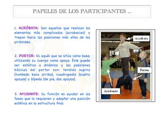 1. ACRÓBATA: Son aquellos que realizan los
elementos más complicados (acrobacias) y
trepan hacia las posiciones más altas de las
pirámides.

2. PORTOR: Es aquél que se sitúa como base,
utilizando su cuerpo como apoyo. Éste puede
ser estático o dinámico y las posiciones
básicas del portor son: tendido supino
(tumbado boca arriba), cuadrupedia (cuatro
apoyos) y bípeda (de pie, dos apoyos).

3. AYUDANTE: Su función es ayudar en las
fases que lo requieran y adoptar una posición
estética en la estructura ﬁnal.
PAPELES DE LOS PARTICIPANTES ...
ón del ejercicio será de 2 minutos y 30 segundos.
ncia de edad entre el PportorQ y el PacróbataQ no debe ser superior a los 10
es de los alumnos/as en el Acrosport
ACRÓBATA o ágil.- Son aquellos que
ealizan los elementos más complicados
acrobacias) y trepan hacia las posiciones más
altas de las pirámides.
PORTOR.- Es aquél que se sitúa como base,
utilizando su cuerpo como apoyo. Éste puede
er estático o dinámico y las posiciones
básicas del portor son: tendido supino
tumbado boca arriba), cuadrupedia (cuatro
apoyos) y bípeda (de pie, dos apoyos).
AYUDANTE.- Su función es ayudar en las fases
quieran y adoptar una posición estética en la estructura final.
 