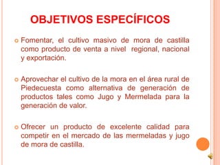 OBJETIVOS ESPECÍFICOS
   Fomentar, el cultivo masivo de mora de castilla
    como producto de venta a nivel regional, nac...