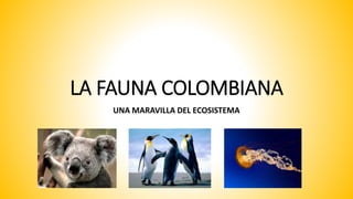 LA FAUNA COLOMBIANA
UNA MARAVILLA DEL ECOSISTEMA
 