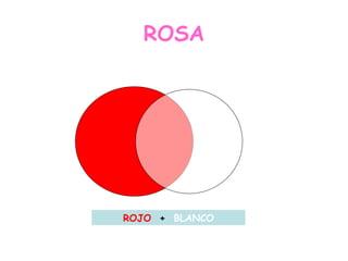ROSA ROJO   +  BLANCO 
