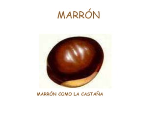 MARRÓN MARRÓN COMO LA CASTAÑA 