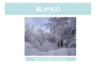 BLANCO BLANCO COMO LA NIEVE 