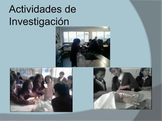 Actividades de Investigación