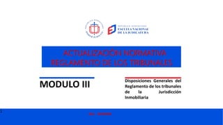 1
ENJ. 02/05/2023
ACTUALIZACIÓN NORMATIVA
REGLAMENTO DE LOS TRIBUNALES
MODULO III
Disposiciones Generales del
Reglamento de los tribunales
de la Jurisdicción
Inmobiliaria
 