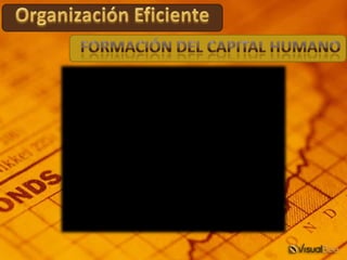 Organización Eficiente Formación del Capital Humano 