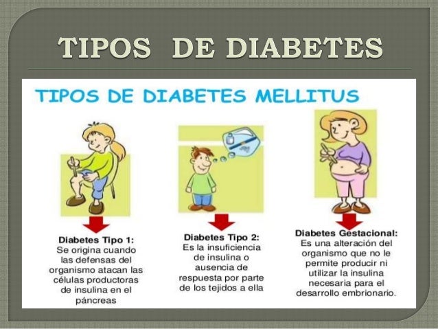Que La Es Diabetes Que La Es Diabetes