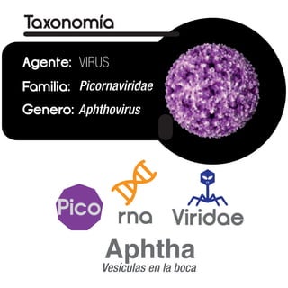 Fiebre Aftosa 