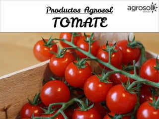 Productos Agrosol
TOMATE
 