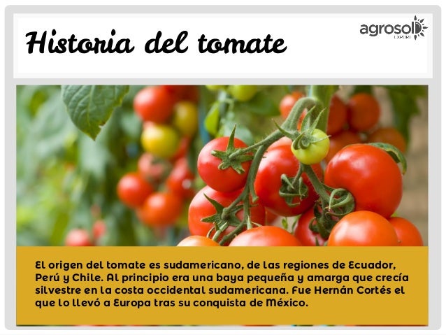 Productos Agrosol: Tomate