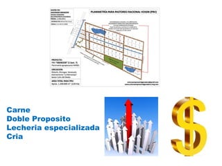 Carne
Doble Proposito
Lecheria especializada
Cria