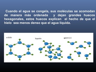 Cuando el agua se congela, sus moléculas se acomodan
de manera más ordenada
y dejan grandes huecos
hexagonales, estos huecos explican el hecho de que el
hielo sea menos denso que el agua líquida.

 

 