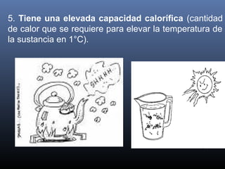 5.  Tiene una elevada capacidad calorífica (cantidad 
de calor que se requiere para elevar la temperatura de 
la sustancia en 1°C).

 