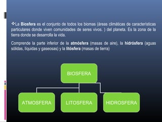 La Biosfera es el conjunto de todos los biomas (áreas climáticas de características
particulares donde viven comunidades de seres vivos. ) del planeta. Es la zona de la
tierra donde se desarrolla la vida.
Comprende la parte inferior de la atmósfera (masas de aire), la hidrósfera (aguas
sólidas, líquidas y gaseosas) y la litósfera (masas de tierra)

BIOSFERA

ATMOSFERA

LITOSFERA

HIDROSFERA

 