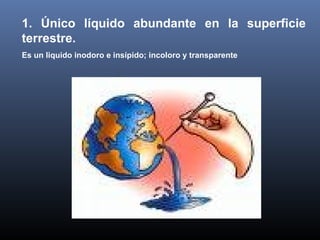 1. Único líquido abundante en la superficie
terrestre.
Es un liquido inodoro e insípido; incoloro y transparente

 