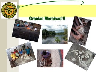 Gracias Maraisas!!!Gracias Maraisas!!!
 