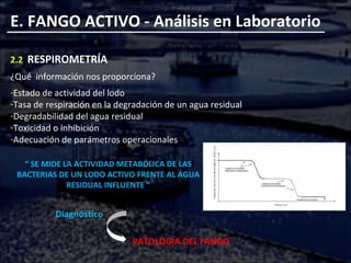E. FANGO ACTIVO - Análisis en Laboratorio
2.2 RESPIROMETRÍA
¿Qué información nos proporciona?
-Estado de actividad del lodo
-Tasa de respiración en la degradación de un agua residual
-Degradabilidad del agua residual
-Toxicidad o inhibición
-Adecuación de parámetros operacionales
“ SE MIDE LA ACTIVIDAD METABÓLICA DE LAS
BACTERIAS DE UN LODO ACTIVO FRENTE AL AGUA
RESIDUAL INFLUENTE ”
Diagnóstico
PATOLOGÍA DEL FANGO
 