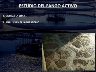 ESTUDIO DEL FANGO ACTIVO
1. VISITA A LA EDAR
2. ANÁLISIS EN EL LABORATORIO
 