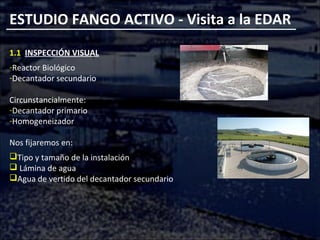 ESTUDIO FANGO ACTIVO - Visita a la EDAR
1.1 INSPECCIÓN VISUAL
-Reactor Biológico
-Decantador secundario
Circunstancialmente:
-Decantador primario
-Homogeneizador
Nos fijaremos en:
Tipo y tamaño de la instalación
 Lámina de agua
Agua de vertido del decantador secundario
 