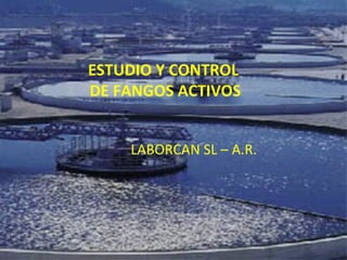 ESTUDIO Y CONTROL
DE FANGOS ACTIVOS
LABORCAN SL – A.R.
 