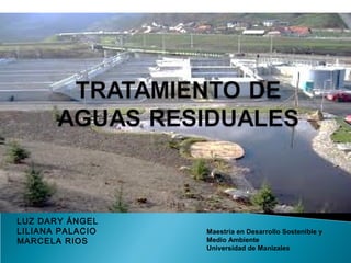 LUZ DARY ÁNGEL
LILIANA PALACIO   Maestría en Desarrollo Sostenible y
MARCELA RIOS      Medio Ambiente
                  Universidad de Manizales
 