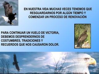 EN NUESTRA VIDA MUCHAS VECES TENEMOS QUE RESGUARDARNOS POR ALGÚN TIEMPO Y COMENZAR UN PROCESO DE RENOVACIÓN  PARA CONTINUAR UN VUELO DE VICTORIA, DEBEMOS DESPRENDERNOS DE  COSTUMBRES, TRADICIONES Y RECUERDOS QUE NOS CAUSARON DOLOR.  