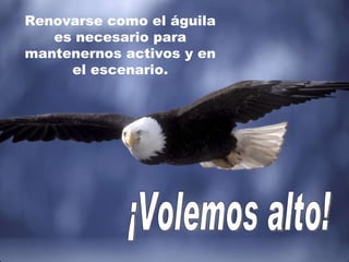 Renovarse como el águila es necesario para mantenernos activos y en el escenario. ¡Volemos alto! 