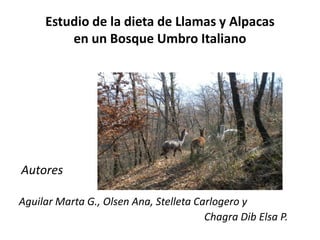 Estudio de la dieta de Llamas y Alpacas
en un Bosque Umbro Italiano
Autores
Aguilar Marta G., Olsen Ana, Stelleta Carlogero y
Chagra Dib Elsa P.
 