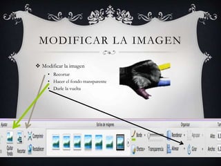 MODIFICAR LA IMAGEN
 Modificar la imagen
• Recortar
• Hacer el fondo transparente
• Darle la vuelta
 