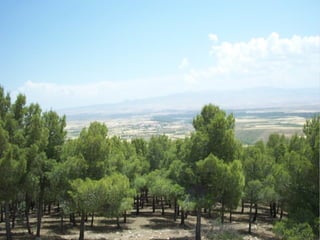 Presentacion albuñan
