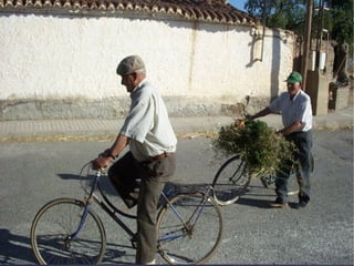 Presentacion albuñan