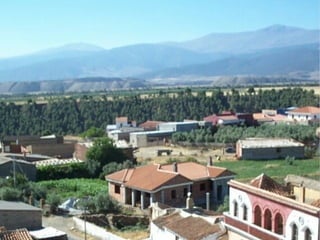 Presentacion albuñan